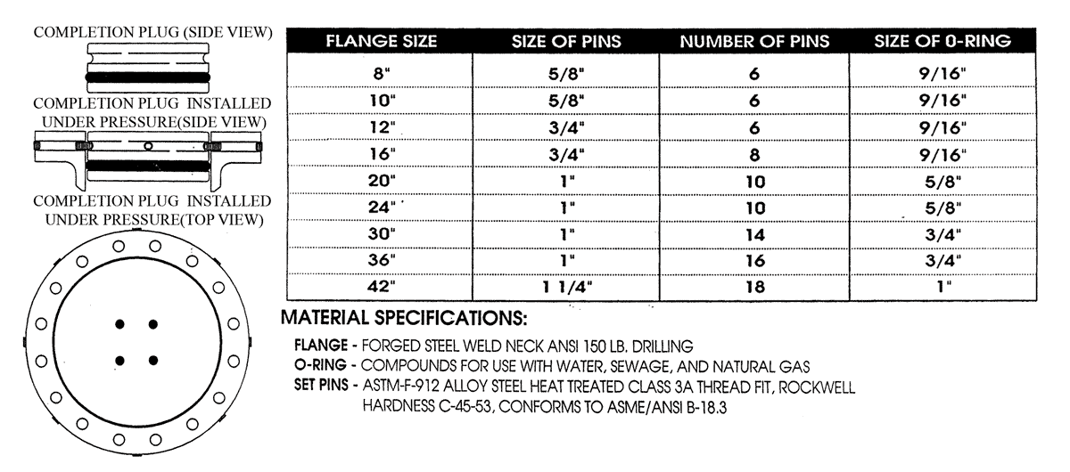 Completion Plug Specs