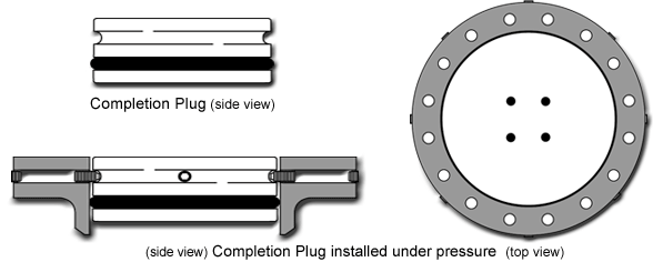 Pin Style Completion Plugs