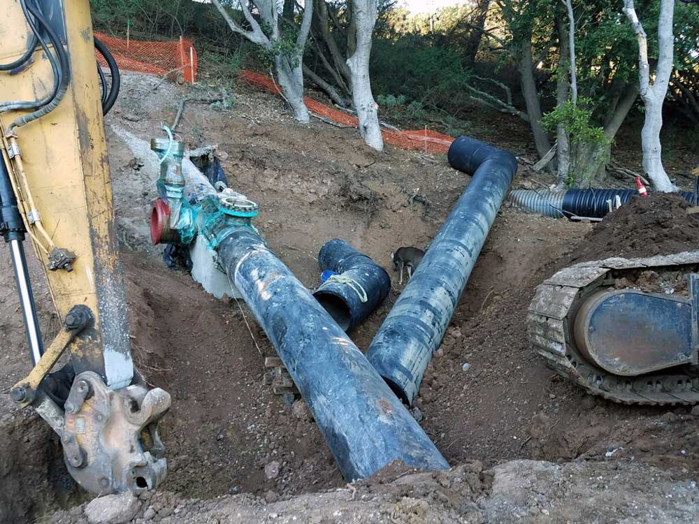 A deer wanted to watch our 28" Linestop with 20" hot tap for bypass in San Francisco, CA.